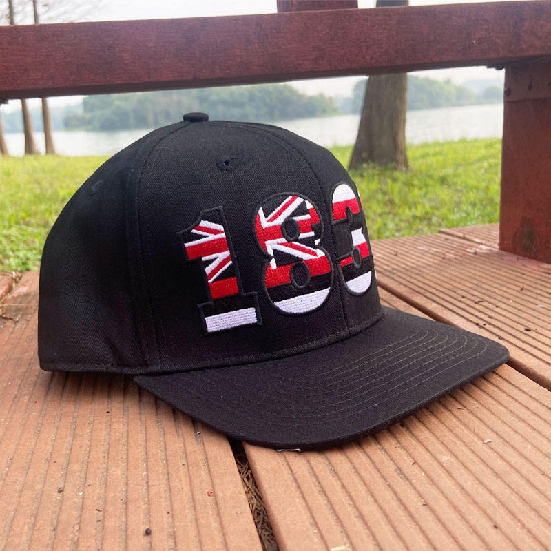 New Custom Logo Embroidery Snapback Cap High Quality Unisex Cotton Flat Brim Hat Fashion Sports Gorras