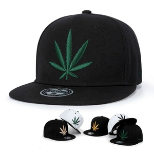 Custom 3D Embroidered Plant Leisure Snapback Cap Trendy Hip Hop Sports Flat Brim Hat Cap