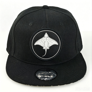 Custom Logo Embroidered Printing Snapback Hat Fashion Colorful Hip Hop Sports Baseball Caps