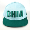 Wholesale Summer Fashion 3D Embroidery Baseball Cap Green Hip Hop Flat Brim Snapback Hat Adult Gorras