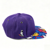 Custom Logo Embroidered Printing Snapback Hat Fashion Colorful Hip Hop Sports Baseball Caps
