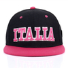 Factory Wholesale Fashion Embroidery Snapback Hat Trend Hip Hop Two Color Flat Brim Cap